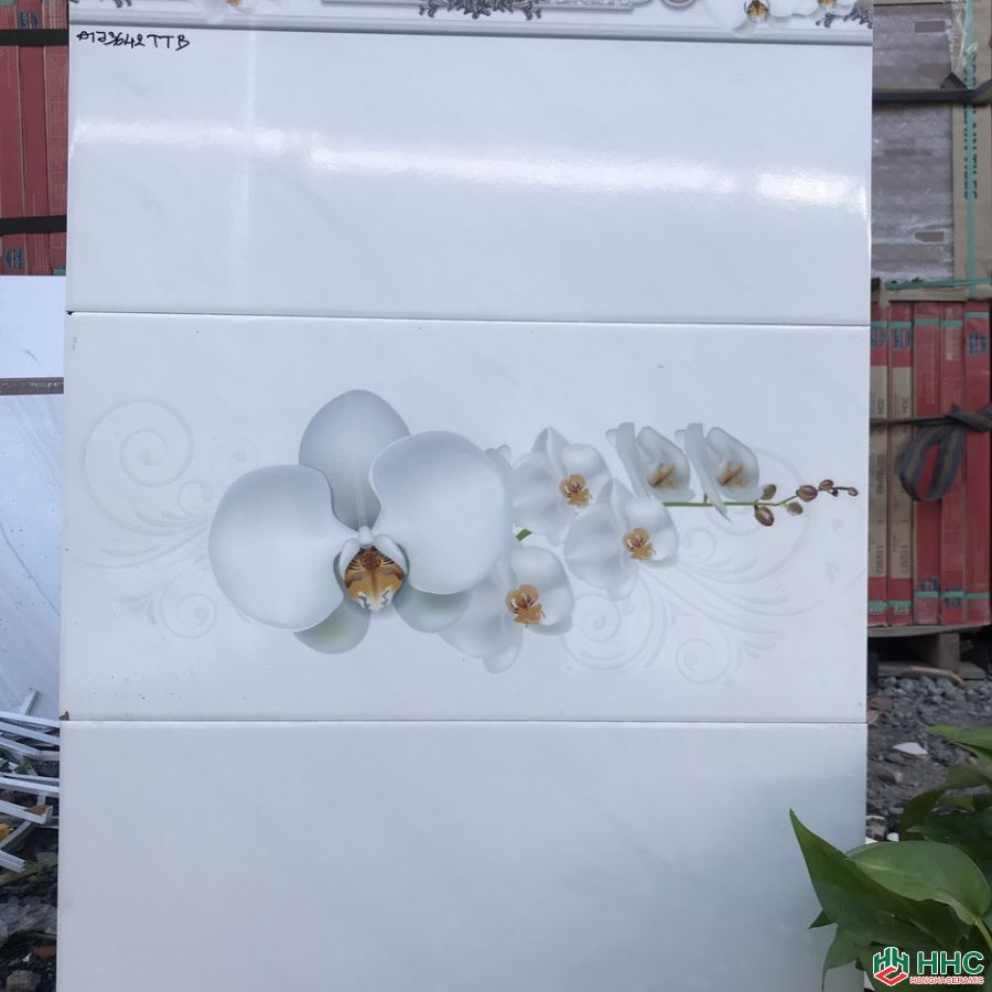 Bộ gạch ốp tường 30x60 A173642TTB